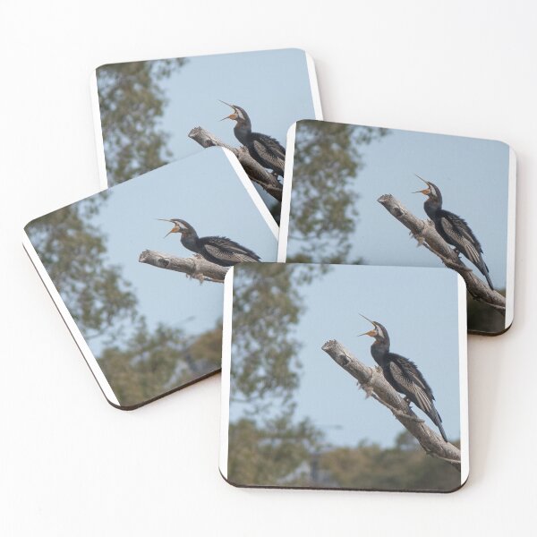 Item preview, Singing Australasian Dart designed and sold by Dan Parish Photography.