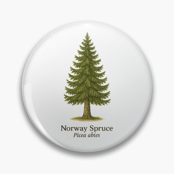 Item preview, Norway Spruce Botanical Illustration – Picea abies designed and sold by BloomKind.