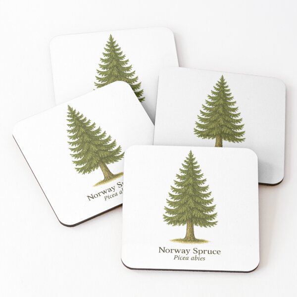 Item preview, Norway Spruce Botanical Illustration – Picea abies designed and sold by BloomKind.