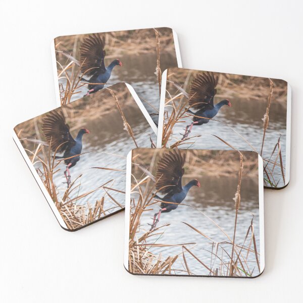 Item preview, flying bird at the wetlands designed and sold by Dan Parish Photography.