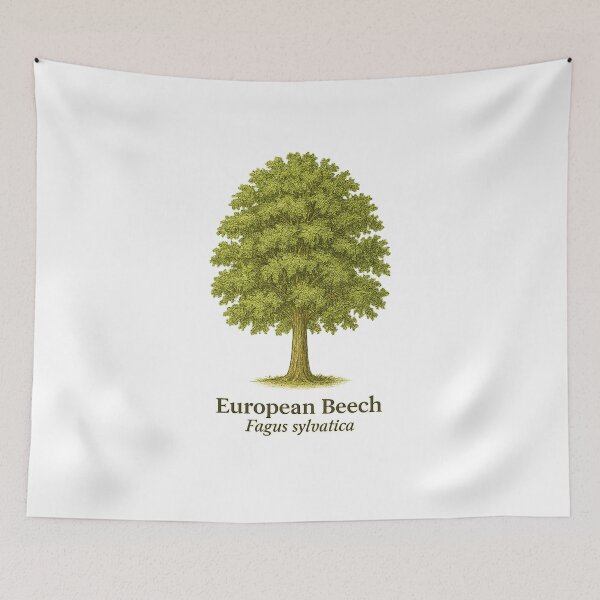 Item preview, European Beech Botanical Illustration – Fagus sylvatica designed and sold by BloomKind.