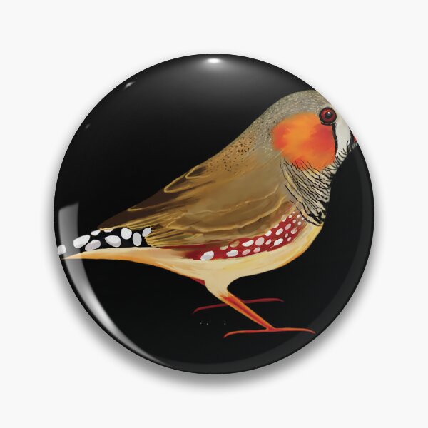 Item preview, Zebra Finch Photographic Print 	 designed and sold by antebyagaathx.