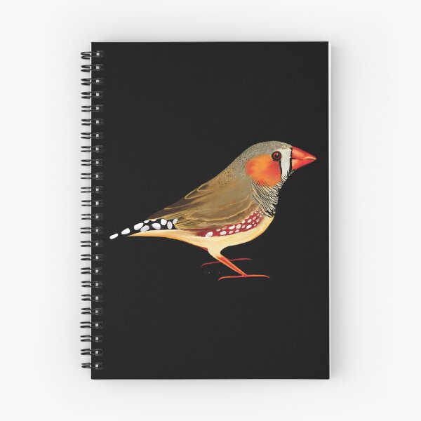 Item preview, Zebra Finch Photographic Print 	 designed and sold by antebyagaathx.