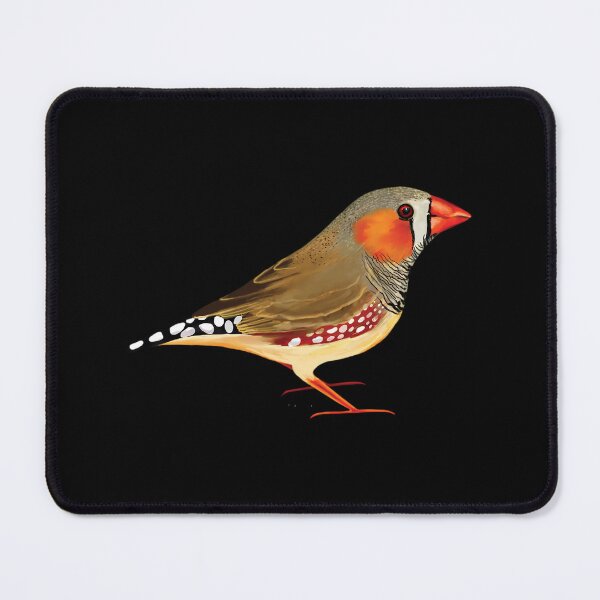 Item preview, Zebra Finch Photographic Print designed and sold by antebyagaathx.