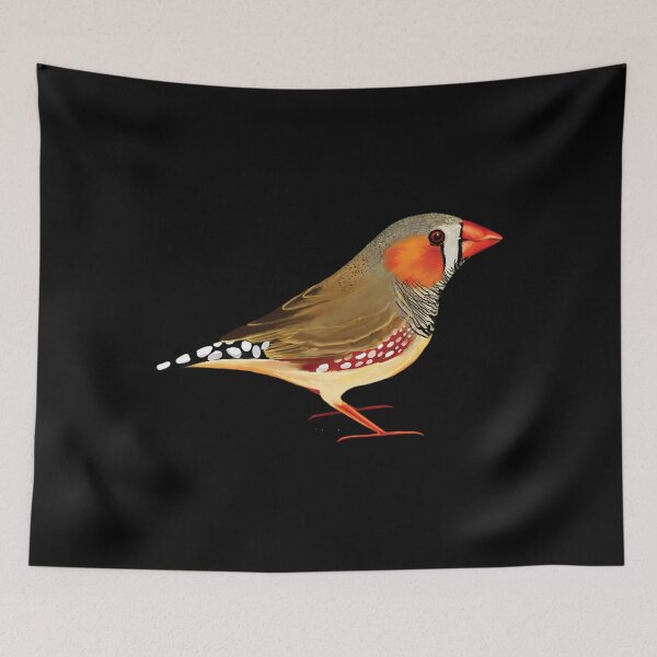 Item preview, Zebra Finch Photographic Print 	 designed and sold by antebyagaathx.