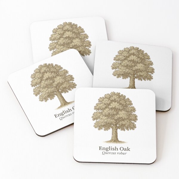 Item preview, English Oak Botanical Illustration – Quercus robur designed and sold by BloomKind.