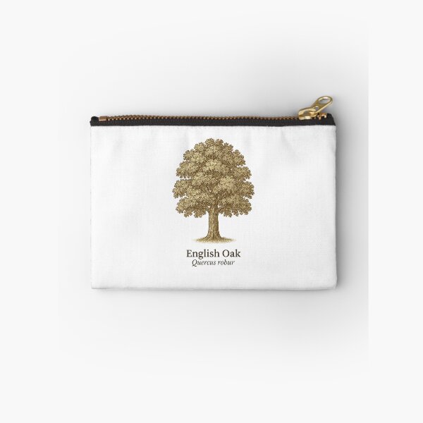 Item preview, English Oak Botanical Illustration – Quercus robur designed and sold by BloomKind.