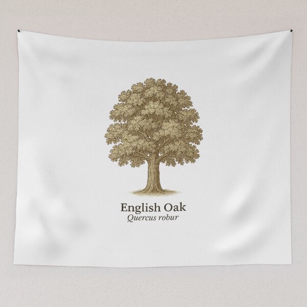 Item preview, English Oak Botanical Illustration – Quercus robur designed and sold by BloomKind.