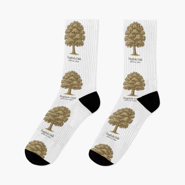 Item preview, English Oak Botanical Illustration – Quercus robur designed and sold by BloomKind.