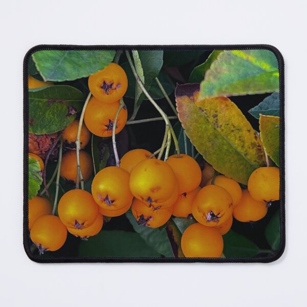 Item preview, Obst, Natur# gelb# yallow, قشنگی#طبیعت#زندگی # آرامش# Ruhe designed and sold by Yaroplanner.