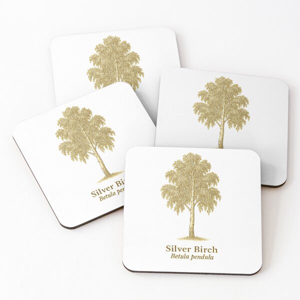 Item preview, Silver Birch Botanical Illustration – Betula pendula designed and sold by BloomKind.
