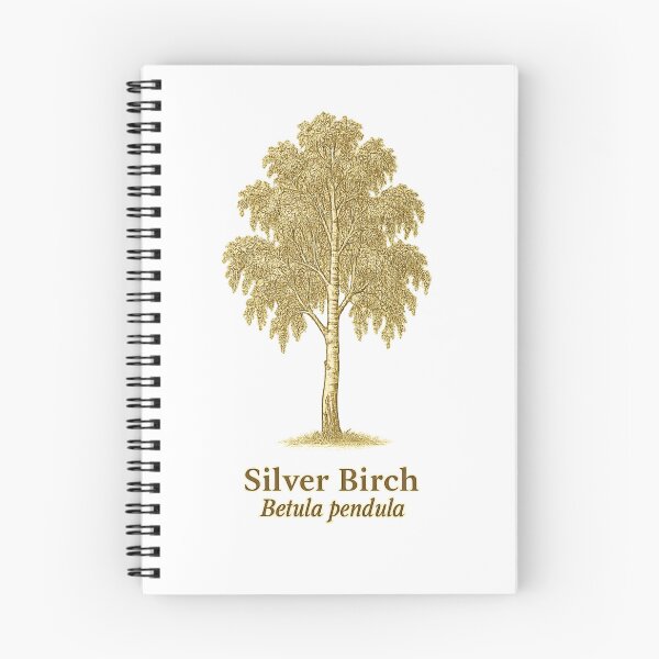 Item preview, Silver Birch Botanical Illustration – Betula pendula designed and sold by BloomKind.