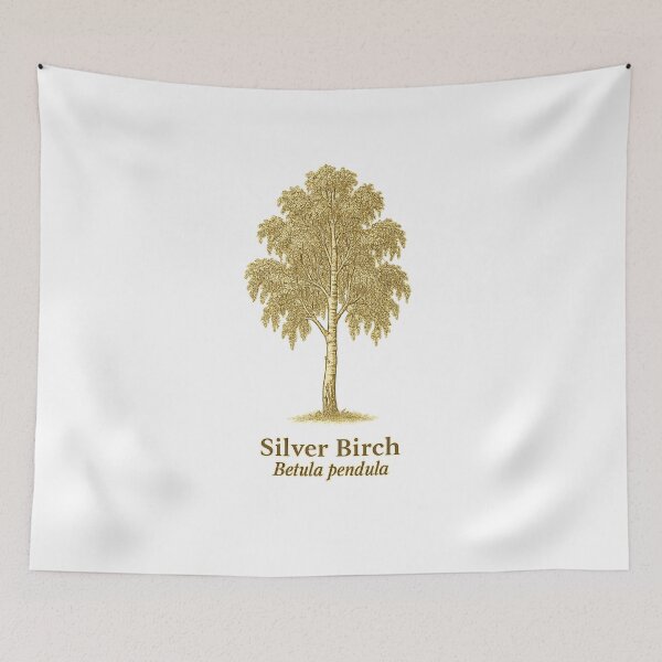 Item preview, Silver Birch Botanical Illustration – Betula pendula designed and sold by BloomKind.