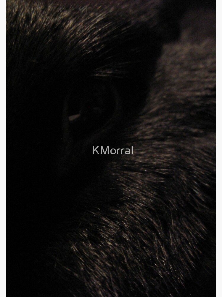 Black Eye by KMorral