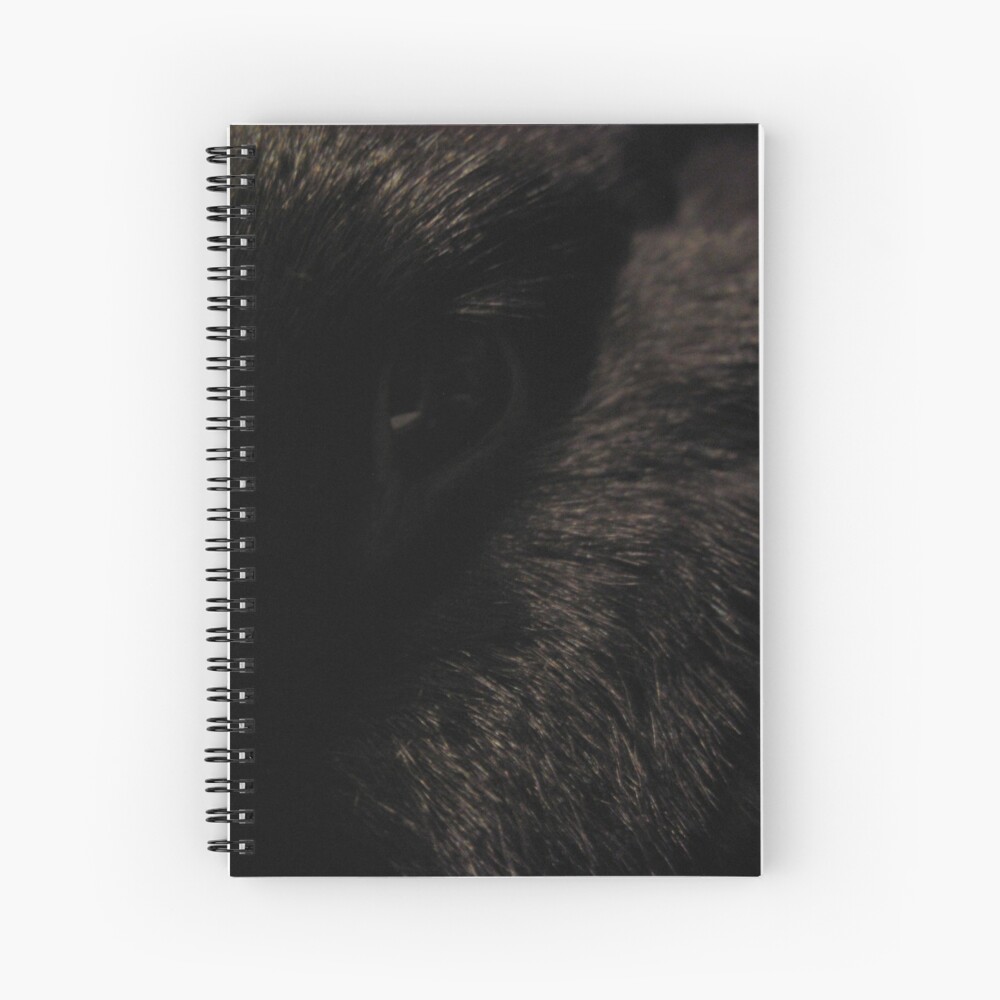 Black Eye Spiral Notebook