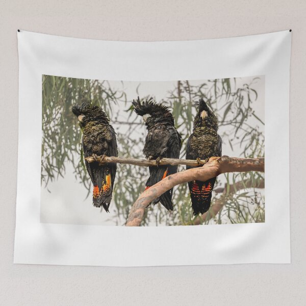 Item preview, Three Amigos designed and sold by Jan Fijolek.