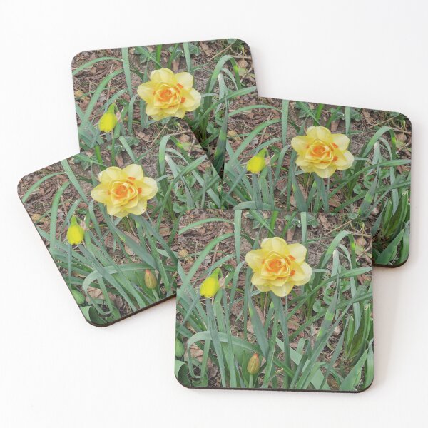 Item preview, Yellow Daffodil in Spring designed and sold by Pmaleknia.
