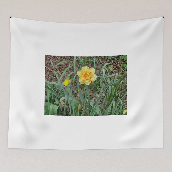 Item preview, Yellow Daffodil in Spring designed and sold by Pmaleknia.