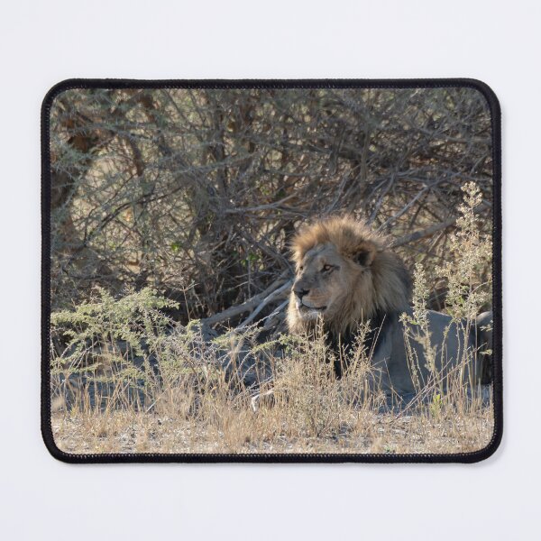 Item preview, The Watchful Uncle — Tornose of Savuti Resting in the Shade designed and sold by DavideAntoniani.