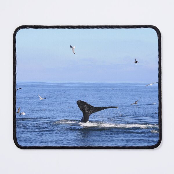 Item preview, Whale in the sea, fin designed and sold by clickandmore.