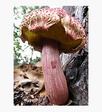 upright Photographic Print