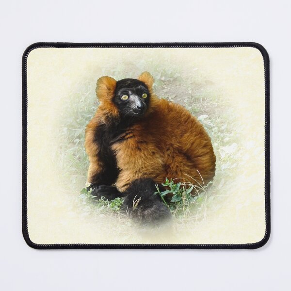 Item preview, Red Ruffed Lemur designed and sold by Guardi71.