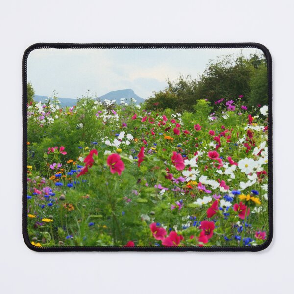 Item preview, Wildflowers and Roseberry Topping designed and sold by Malcolm Snook.