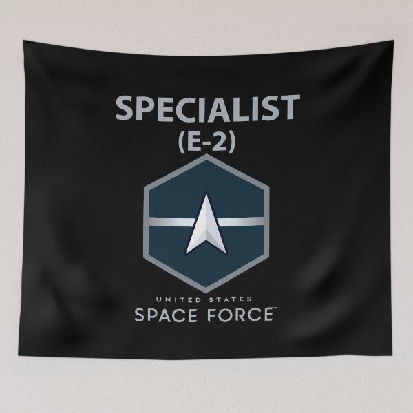 Item preview, USSF - E2 Specialist - US Space Force X 300 designed and sold by Military Insignia Products.