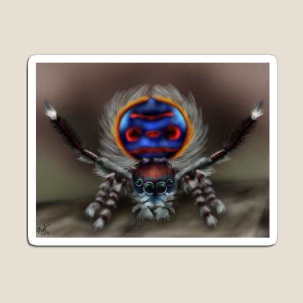 Peacock Spider Magnet
