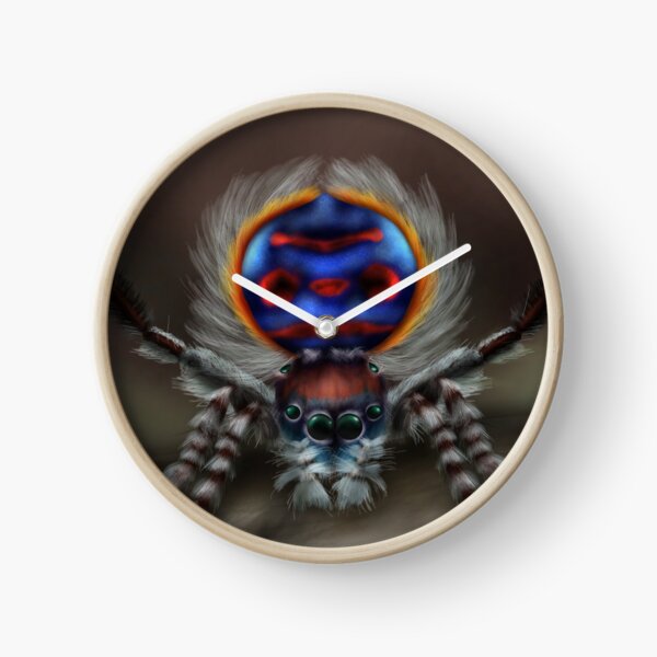 Peacock Spider Clock