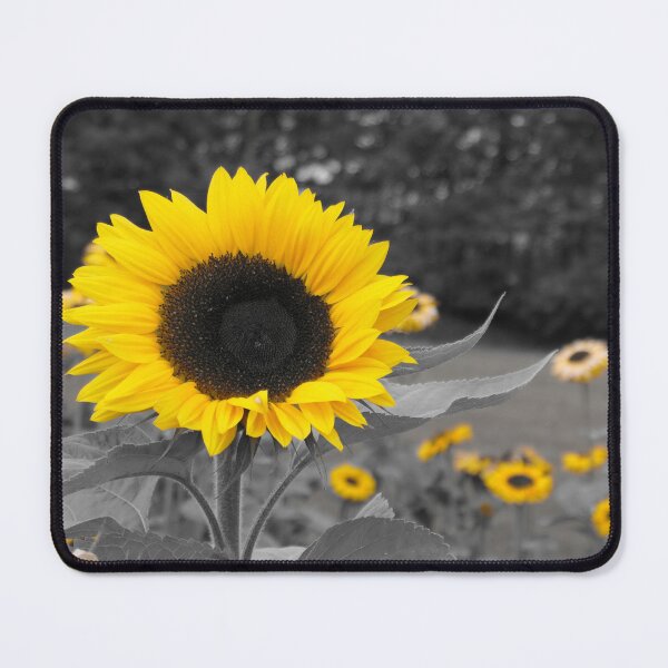 Item preview, Yellow Sunflowers on a mono background designed and sold by Malcolm Snook.