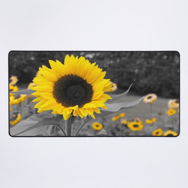 Item preview, Yellow Sunflowers on a mono background designed and sold by Malcolm Snook.