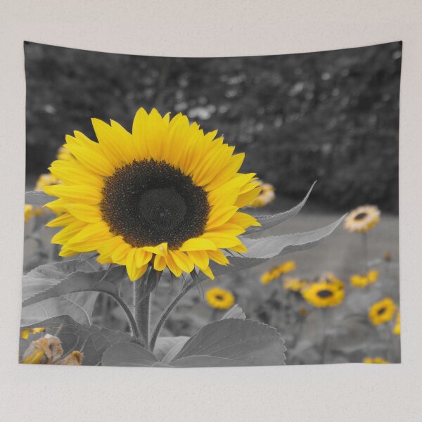Item preview, Yellow Sunflowers on a mono background designed and sold by Malcolm Snook.