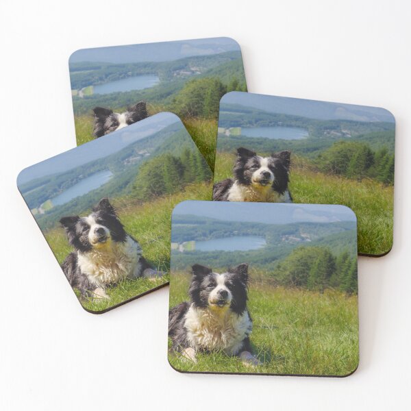 Item preview, Border Collie Resting on Mountain Meadow Overlooking Nagano Mountains, Japan designed and sold by Pix4Japan.