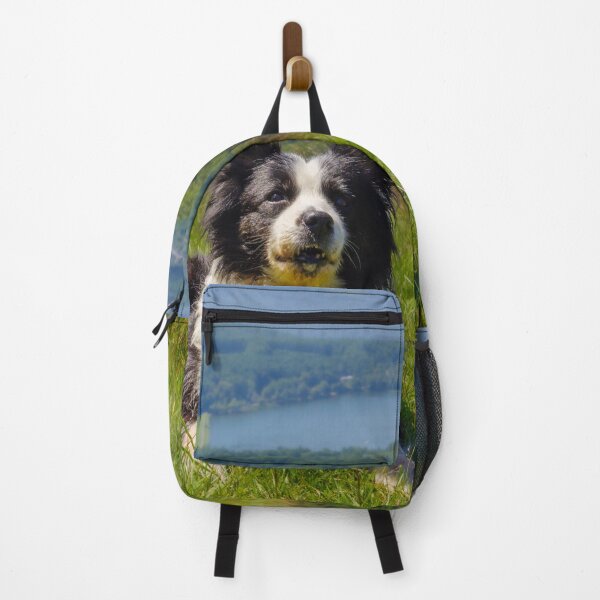 Item preview, Border Collie Resting on Mountain Meadow Overlooking Nagano Mountains, Japan designed and sold by Pix4Japan.