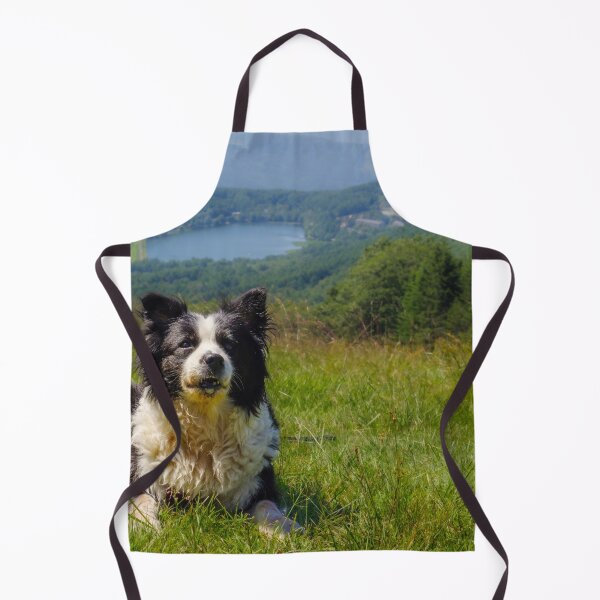 Item preview, Border Collie Resting on Mountain Meadow Overlooking Nagano Mountains, Japan designed and sold by Pix4Japan.