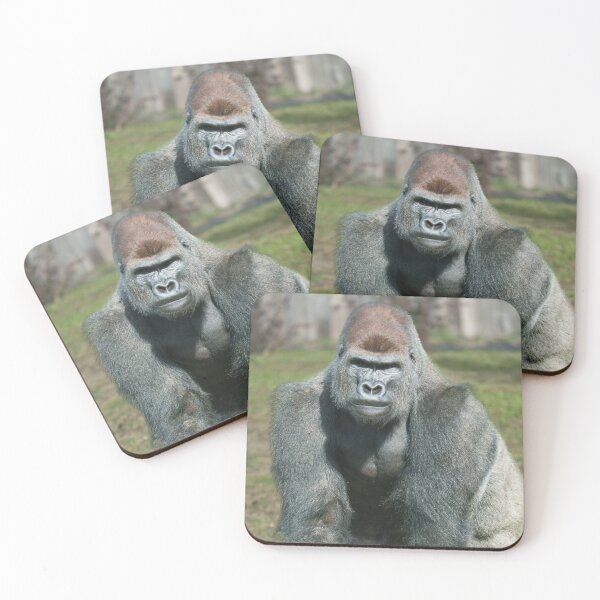 Item preview, Emerging Strength – Lope the Silverback designed and sold by rawshutterbug.
