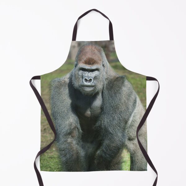 Item preview, Emerging Strength – Lope the Silverback designed and sold by rawshutterbug.