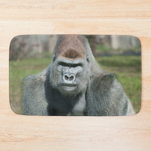 Item preview, Emerging Strength – Lope the Silverback designed and sold by rawshutterbug.