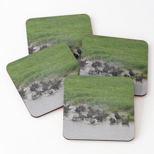 Item preview, Starling Water Party designed and sold by Malcolm Snook.