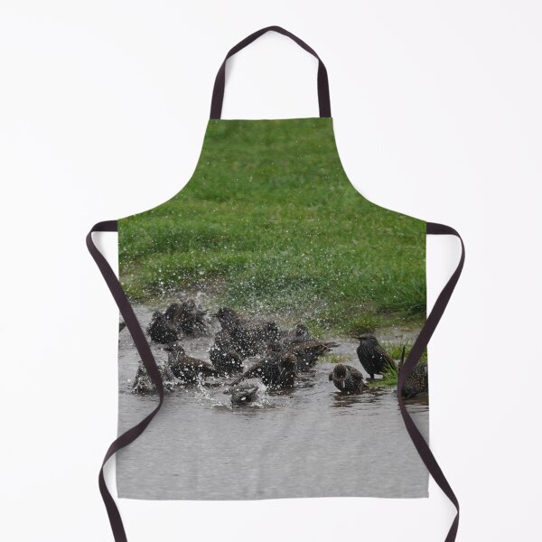 Item preview, Starling Water Party designed and sold by Malcolm Snook.