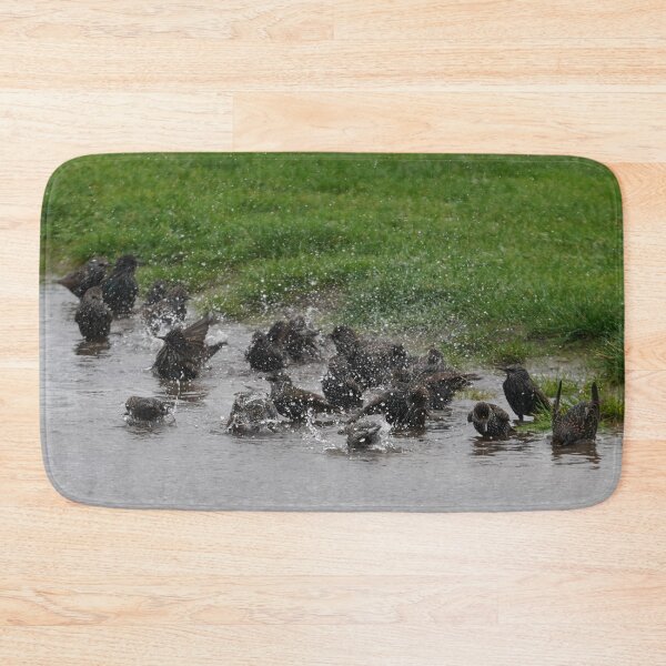 Item preview, Starling Water Party designed and sold by Malcolm Snook.