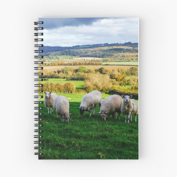 Item preview, Sheep in the Cotswolds designed and sold by ScenicViewPics.