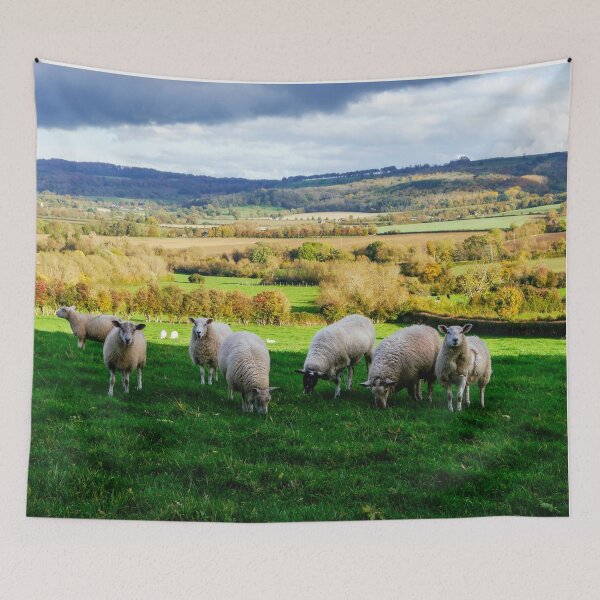 Item preview, Sheep in the Cotswolds designed and sold by ScenicViewPics.