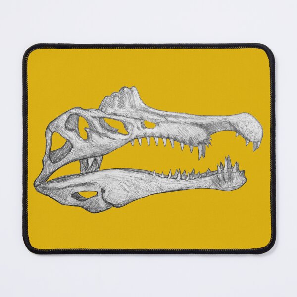 Item preview, Spinosaurus Aegiptiacus skull designed and sold by DoodleSnake58.