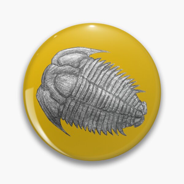 Item preview, Trilobite fossil  designed and sold by DoodleSnake58.