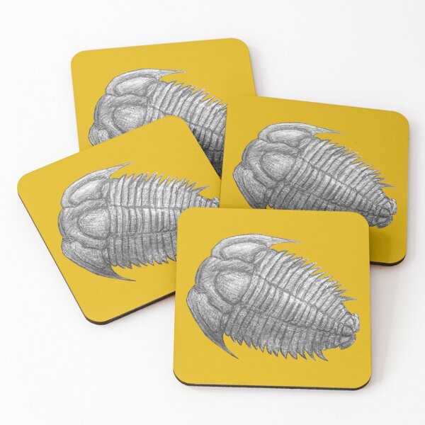 Item preview, Trilobite fossil  designed and sold by DoodleSnake58.