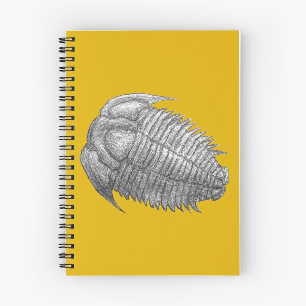 Item preview, Trilobite fossil  designed and sold by DoodleSnake58.