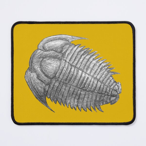 Item preview, Trilobite fossil  designed and sold by DoodleSnake58.