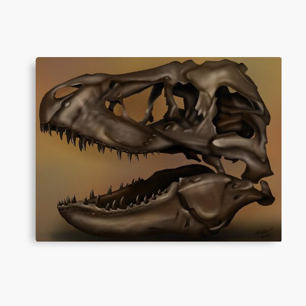 T. Rex Skull Canvas Print